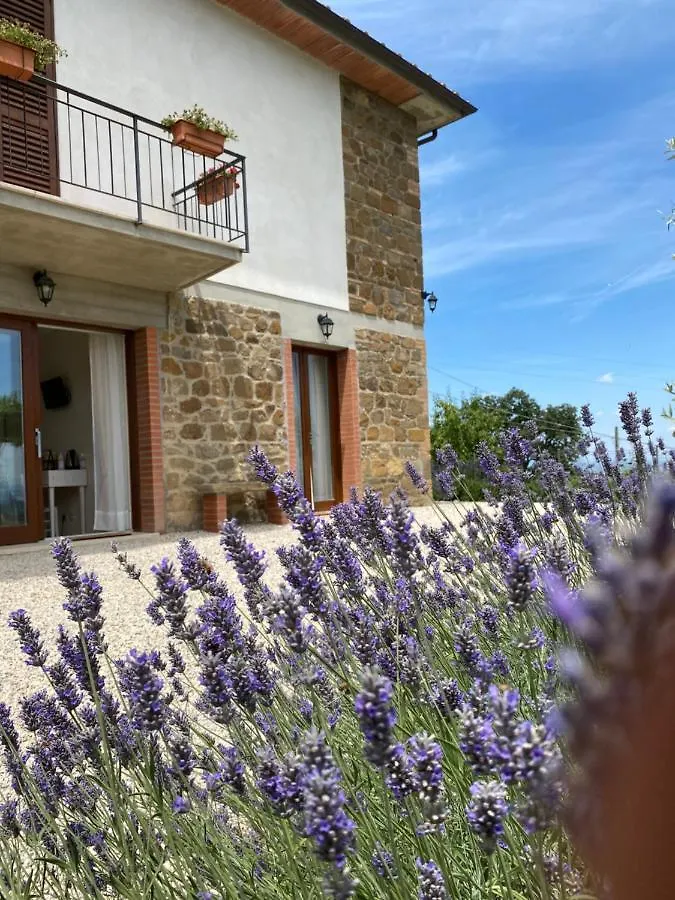 Apartment Podere Belsogno Montalcino