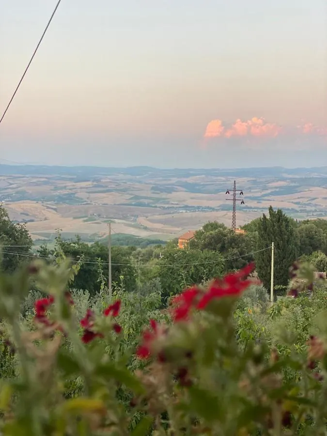 Podere Belsogno Montalcino 0*,