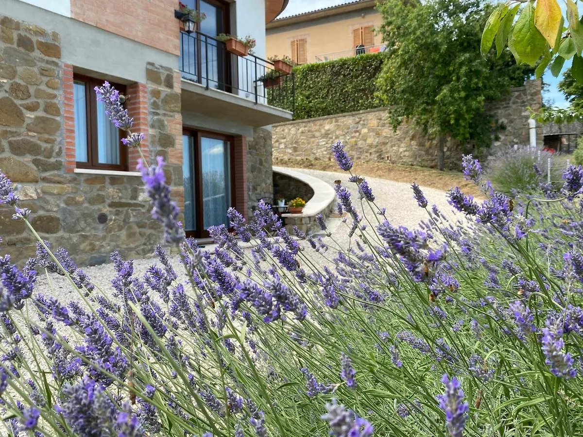 Podere Belsogno Montalcino Apartment
